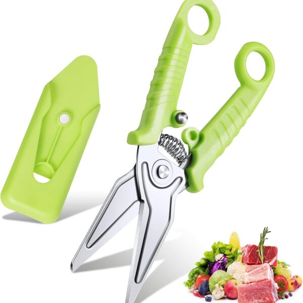 JASON Kitchen Shears – Stainless Steel, Spring-Loaded, Green