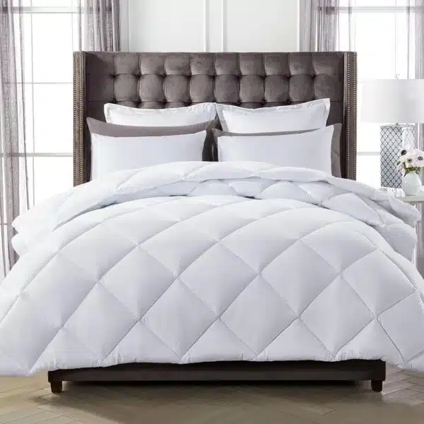 Decroom Lightweight Twin Comforter Set